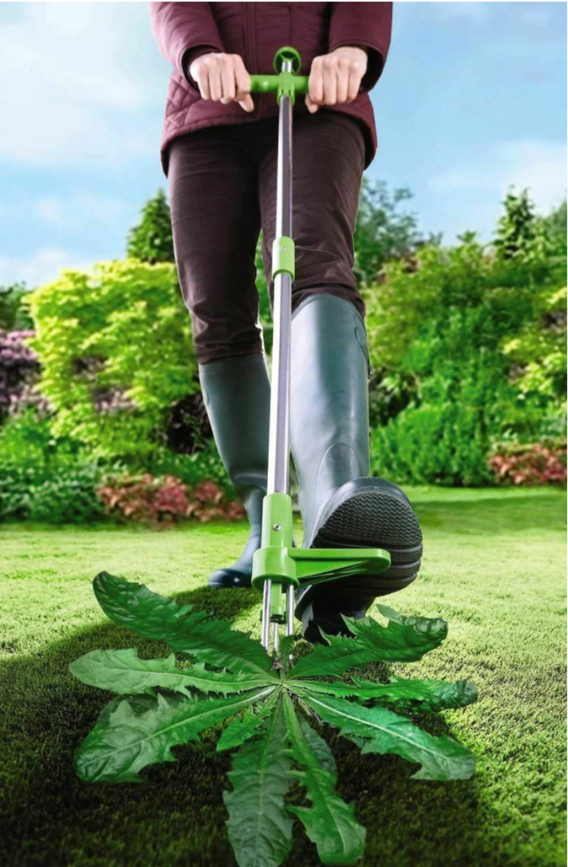 Onkruidverwijderaar - Graswortelverwijderaar voor de tuin